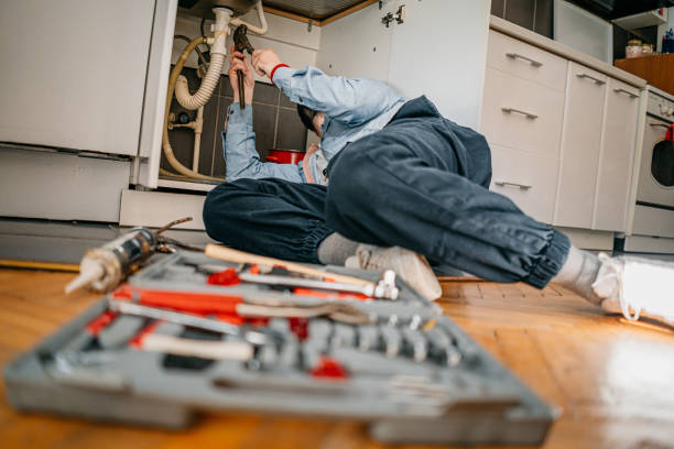 Best Same-Day Plumbing Service  in Lowell, MI