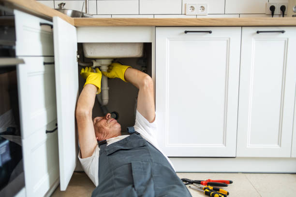 Best Local Plumber Services  in Lowell, MI