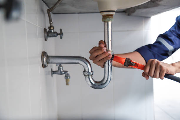 Best Toilet Repair Services  in Lowell, MI