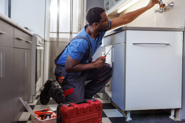 Best Plumbing Services Near Me  in Lowell, MI
