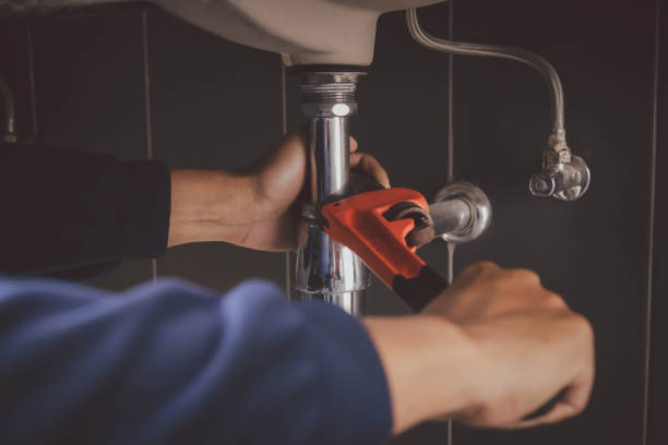 Best Leak Detection Services  in Lowell, MI